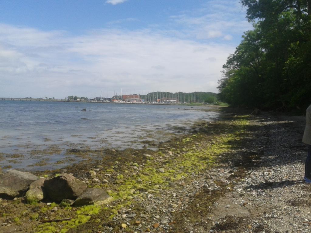 Ostsee Reetkate Langballig المظهر الخارجي الصورة