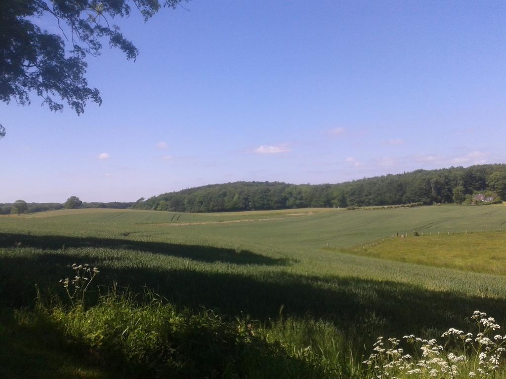 Ostsee Reetkate Langballig الغرفة الصورة