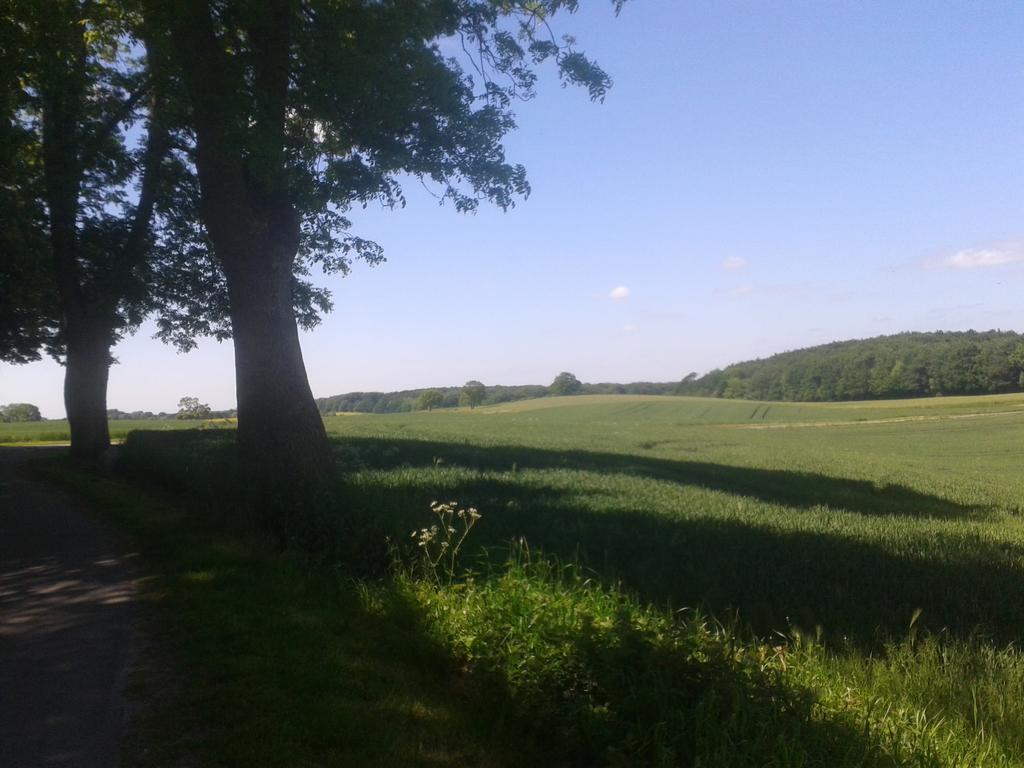 Ostsee Reetkate Langballig الغرفة الصورة