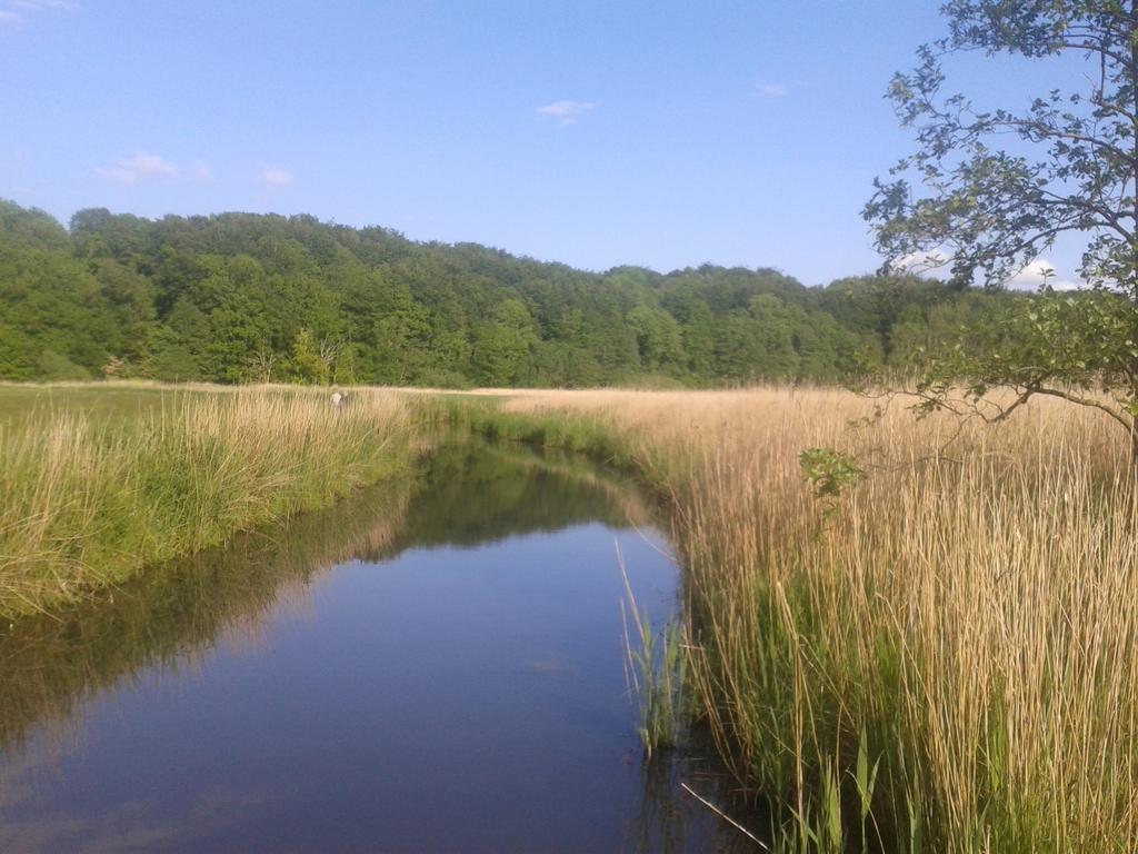 Ostsee Reetkate Langballig الغرفة الصورة