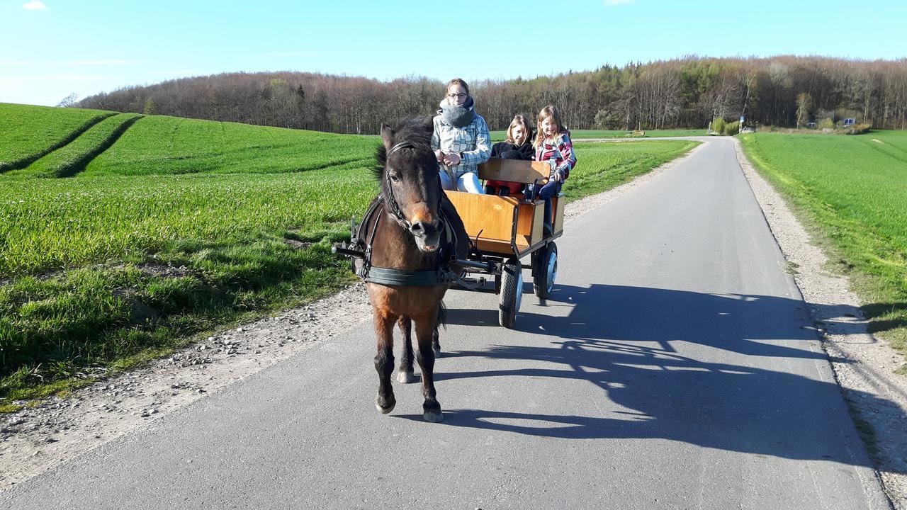 Ostsee Reetkate Langballig المظهر الخارجي الصورة